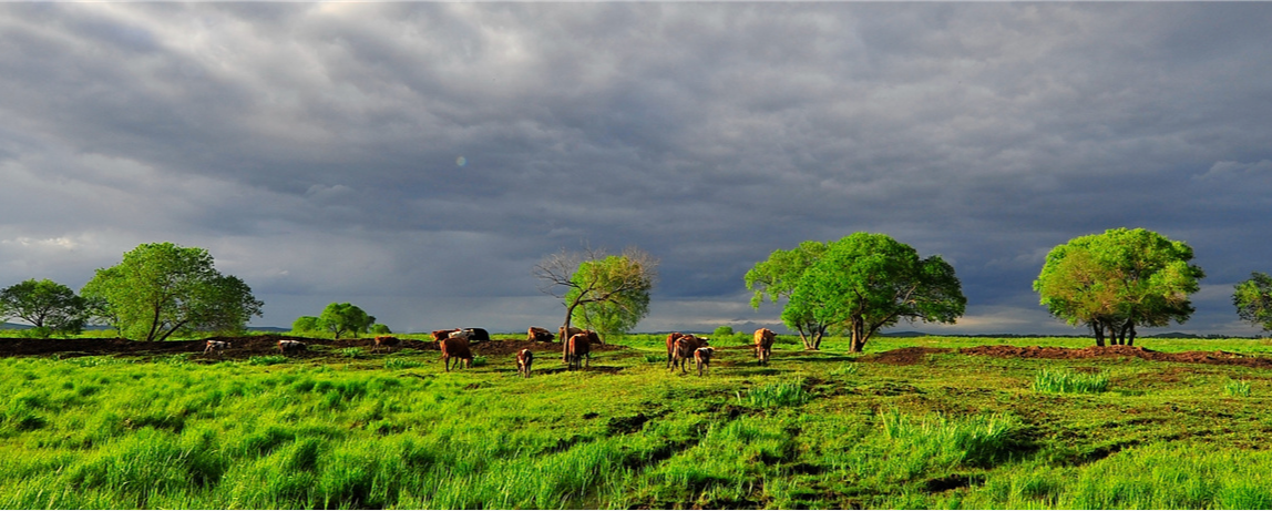 1623914511591620.png 2.png