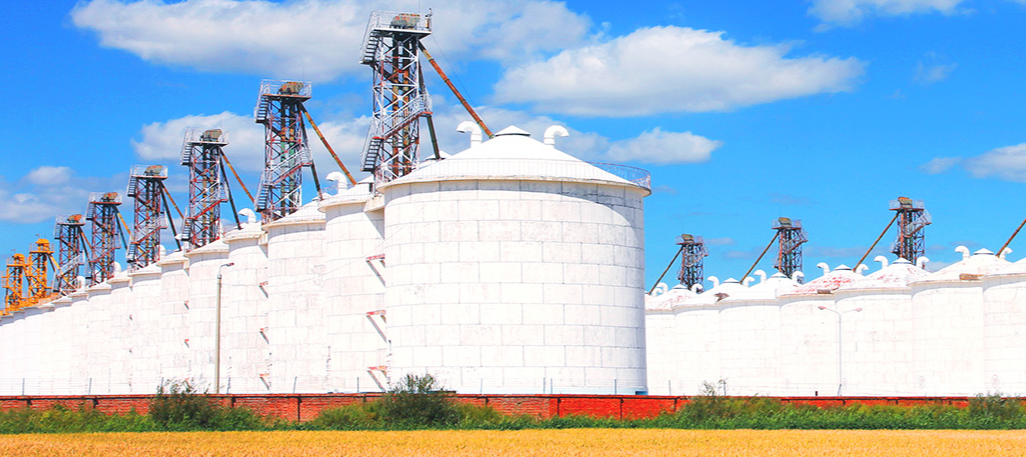 1623914561494529.png 4.png