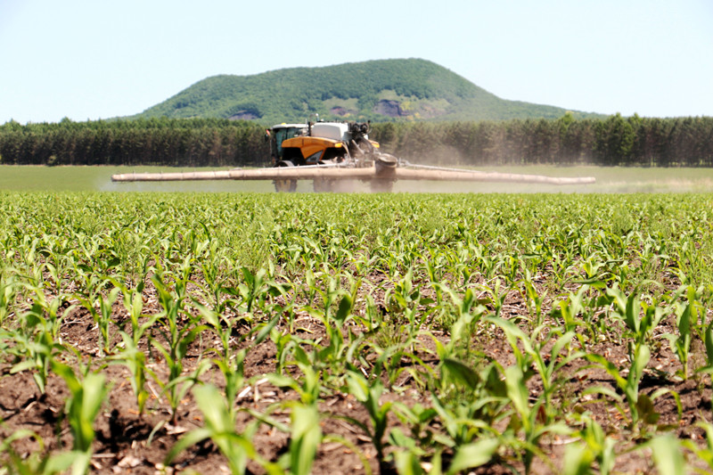 1623914603366100.jpg 8.jpg