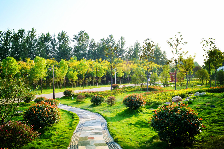 1623914642786662.png 11.png