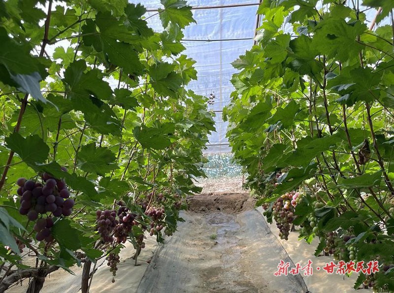 GetAttachment (13)_副本.jpg