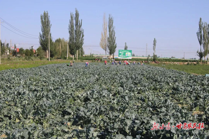 1630052736972976.jpg GetAttachment (1)_副本.jpg