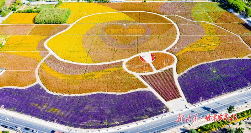 1630054438516091.jpg GetAttachment (9)_副本.jpg