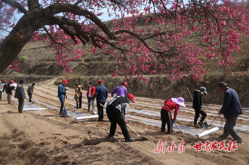 微信图片_20220425150718.jpg