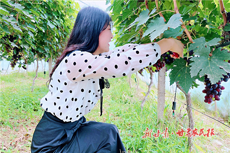 QQ图片20220908153150_proc.jpg