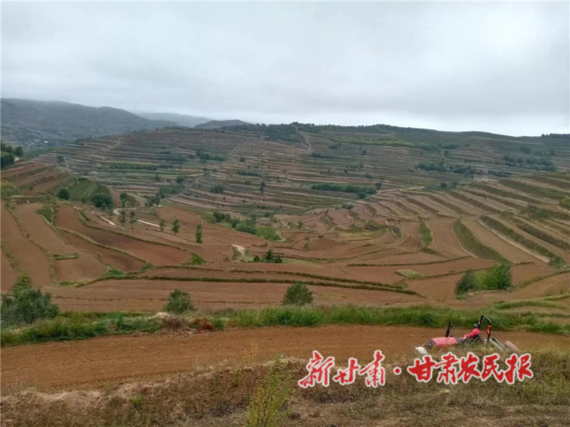 秋播如火如荼进行_proc.jpg