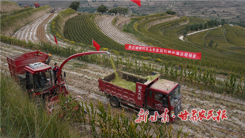 界石铺镇赛技现场_proc.jpg