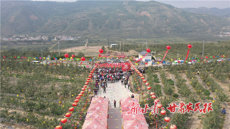 治平镇赛果现场_proc.jpg