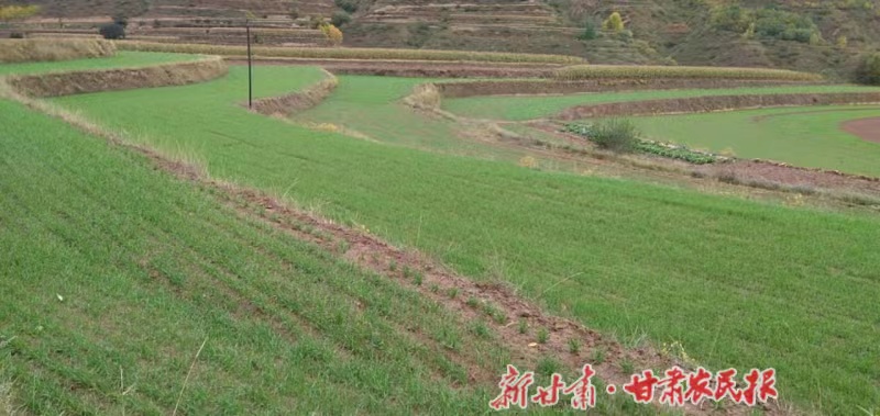 微信图片_20221009221513.jpg
