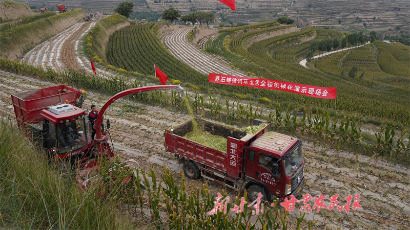 农业机械化助力农民生产.JPG