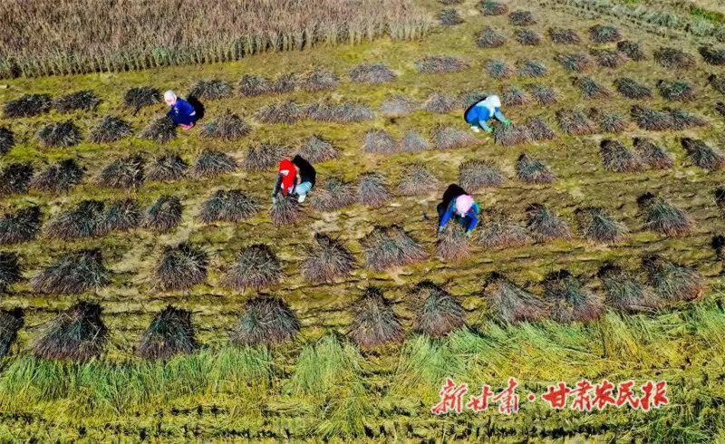 微信图片_20221108102109.jpg