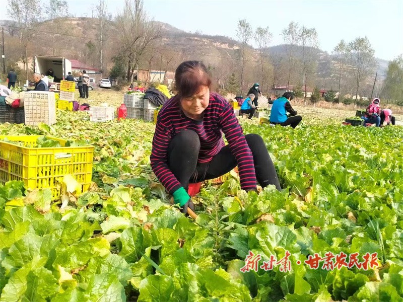 微信图片_20221117105702.jpg