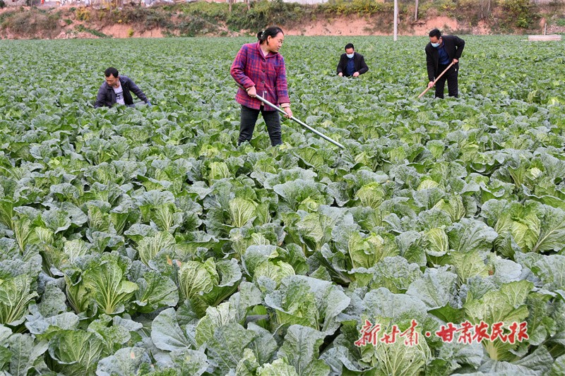 微信图片_20221121202749.jpg