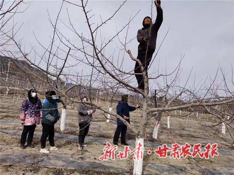 果农现场实际操作.jpg