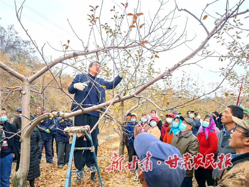 果业技术人员现场为果农示范讲解.png