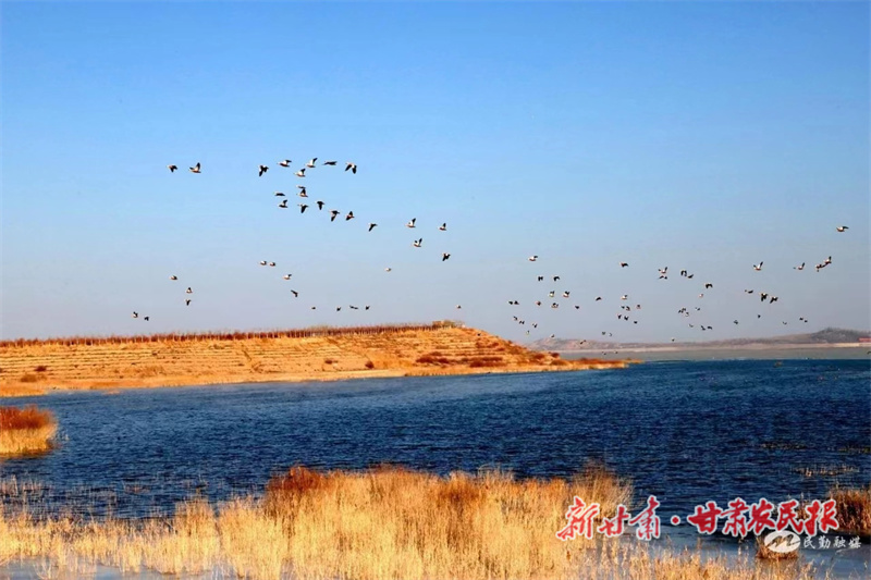 微信图片_20221219173132.jpg