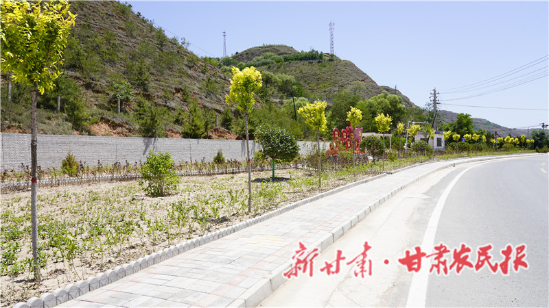 新店乡 S222 沿线人居环境整治示范带.JPG