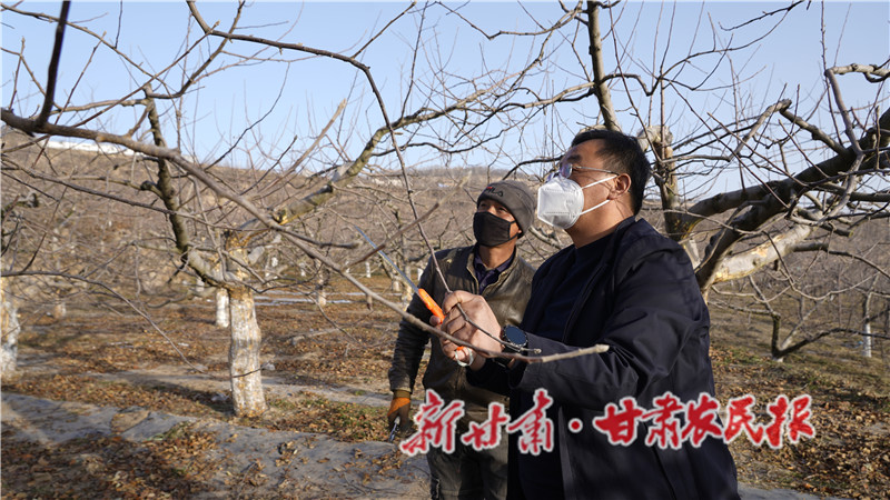 果业专业服务队员指导果农修剪果树.JPG