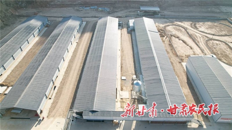 15万只蛋鸡项目基地.jpg