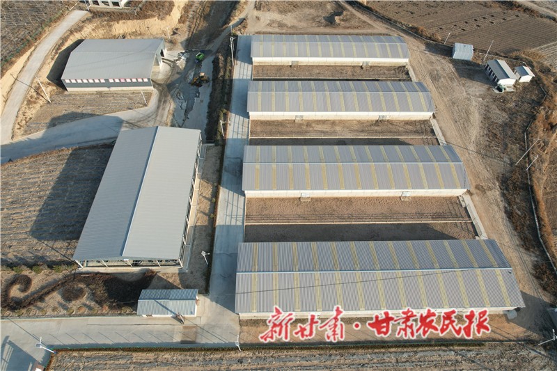 静宁县界石铺镇供港肉牛基地.JPG