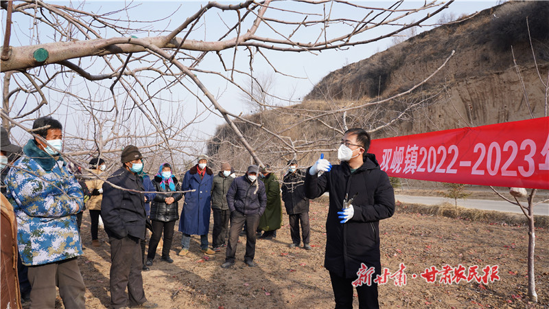 专业技术人员正在双岘镇给果农培训果园管理技术.JPG