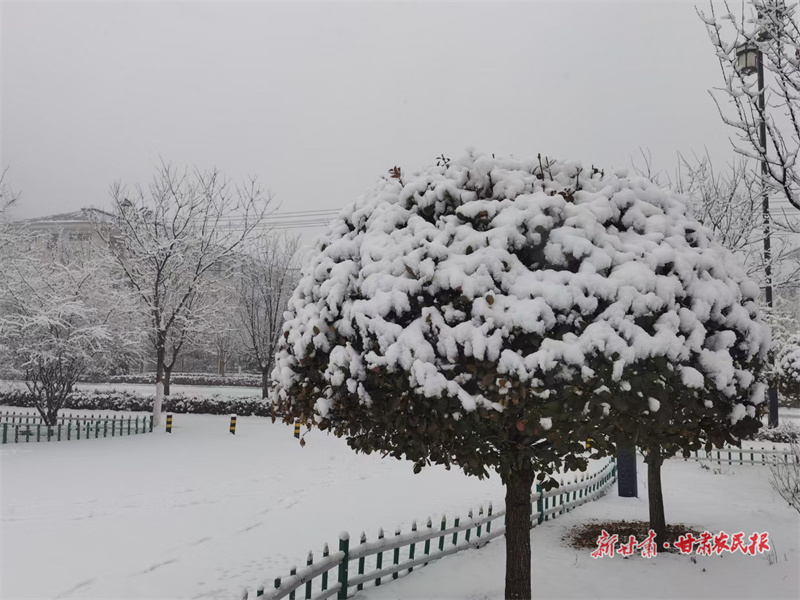 1675928246515148.jpg GetAttachment (9).jpg