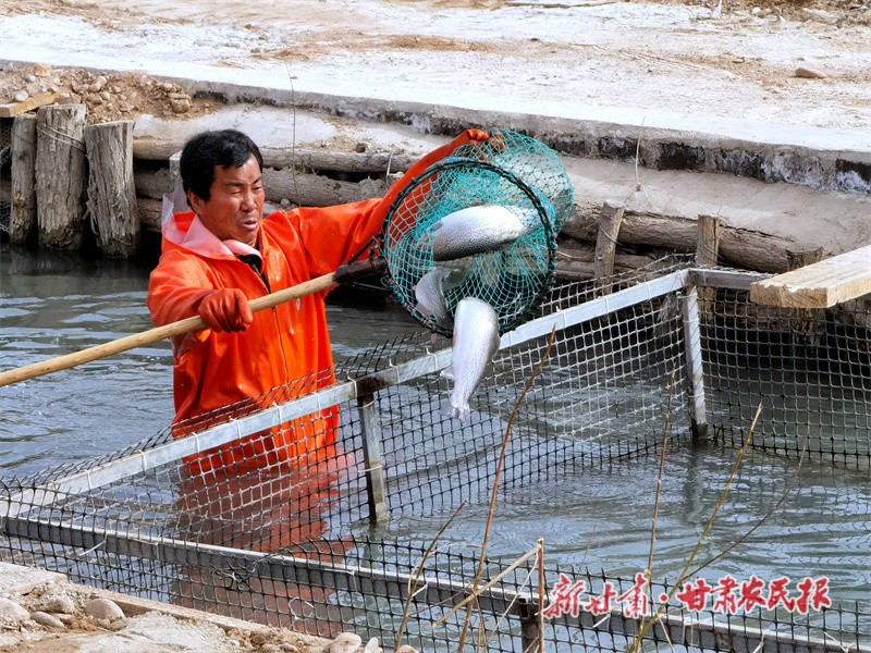 微信图片_20230403152632.jpg