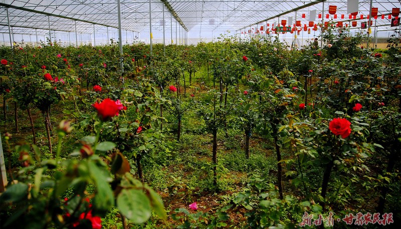 1682240330578192.jpeg GetAttachment.do-12.jpeg