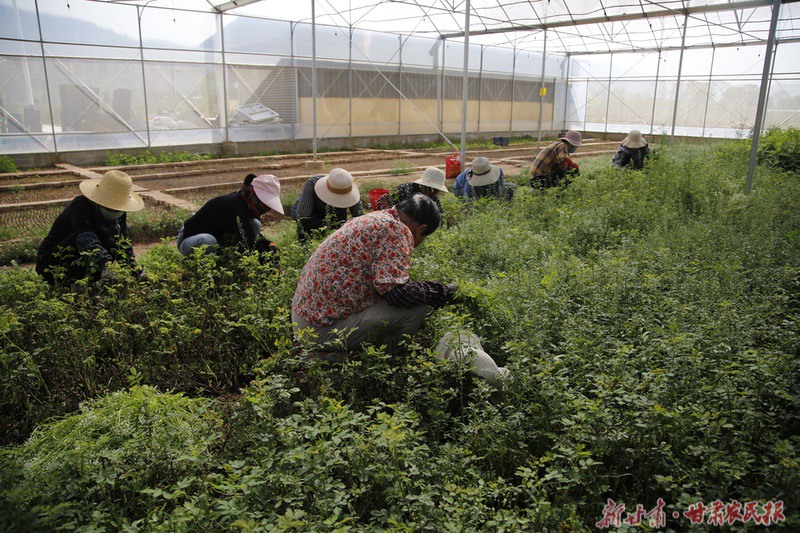 1682240341152275.jpeg GetAttachment.do-13.jpeg