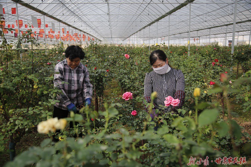 1682240353151854.jpeg GetAttachment.do-14.jpeg