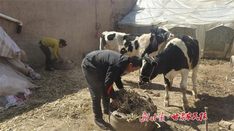 微信图片_20230522163937.jpg