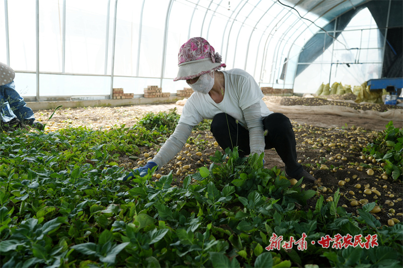 GetAttachment (1).jpg