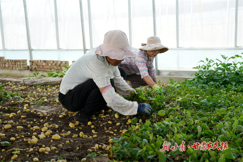 GetAttachment (2).jpg