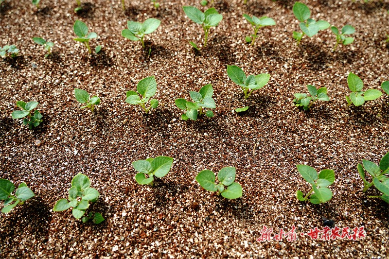 GetAttachment (3).jpg