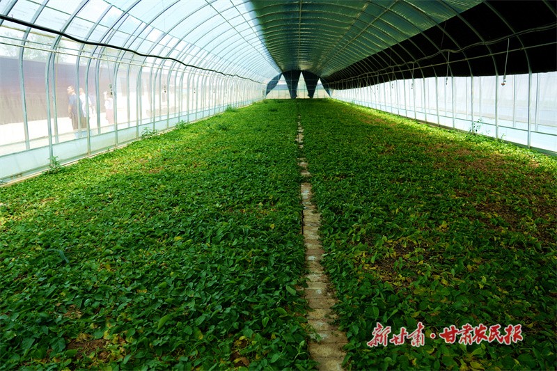 GetAttachment (4).jpg