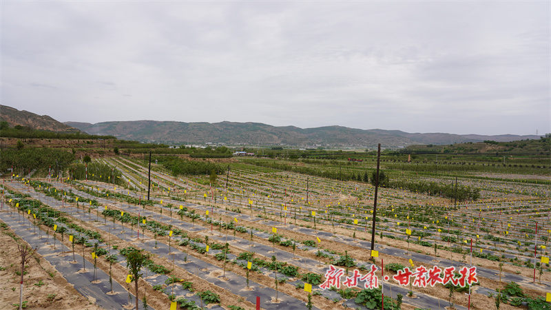 微信图片_20230712161719.jpg