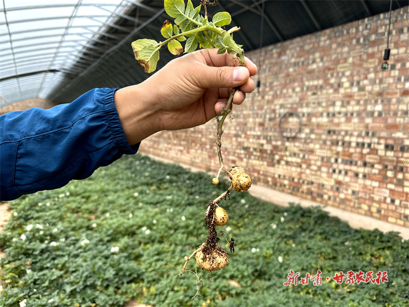 1689673832344439.jpg GetAttachment (2).jpg