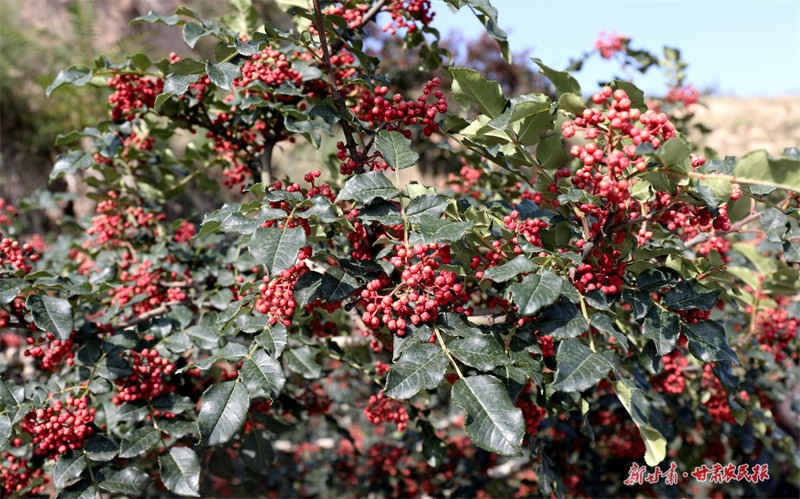 1690774749991394.jpg GetAttachment (1).jpg