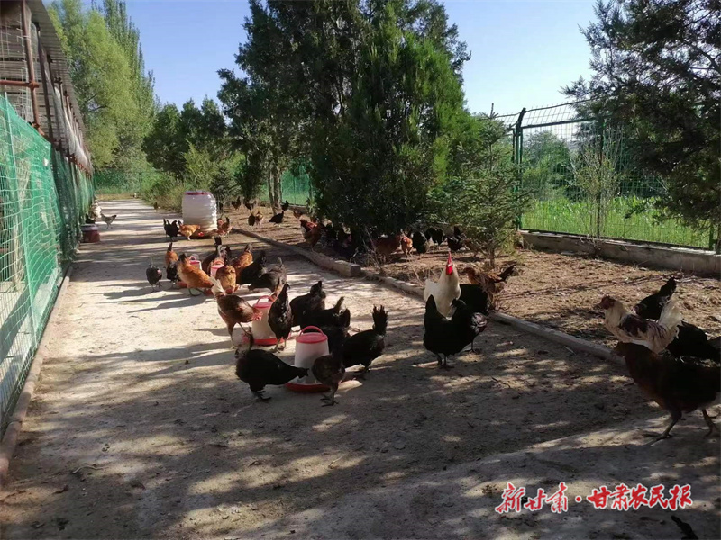 1690774972509942.jpg GetAttachment (3).jpg