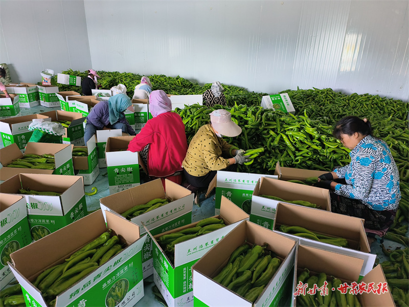 GetAttachment (6).jpg