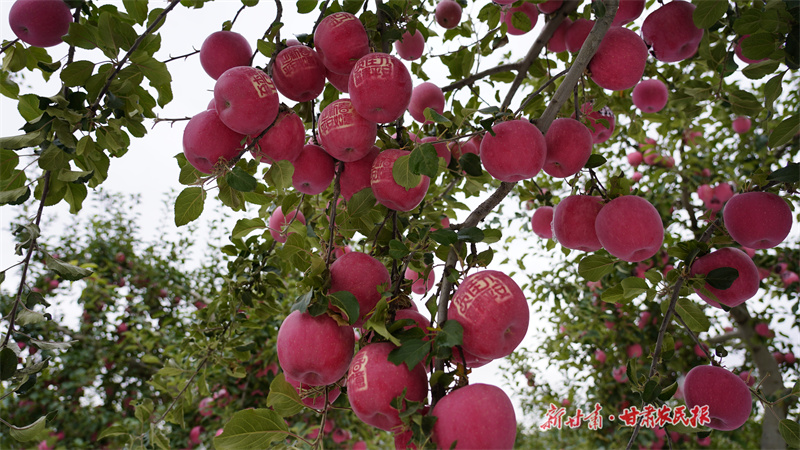 GetAttachment (7).jpg