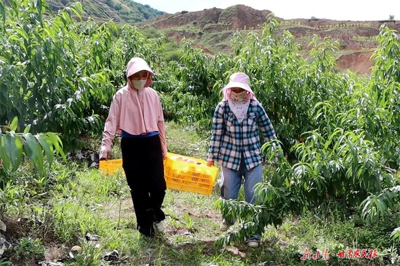 GetAttachment (12).jpg