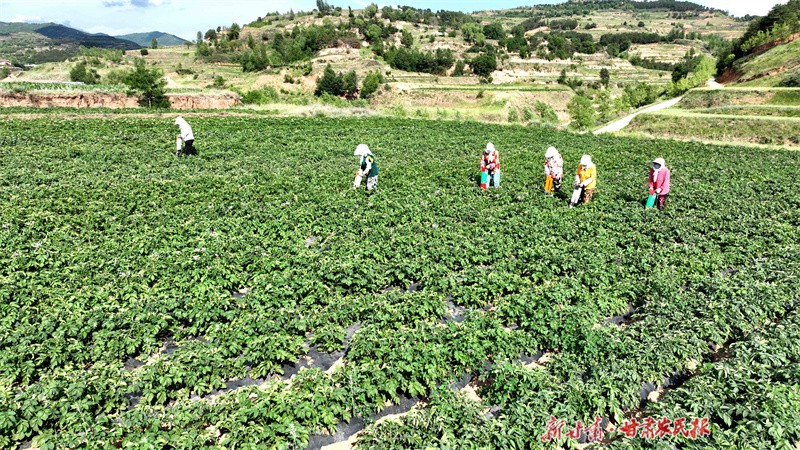 GetAttachment (13).jpg