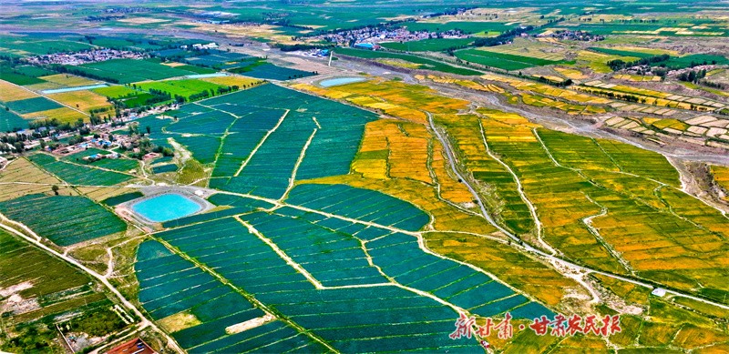 微信图片_20230802151951.jpg