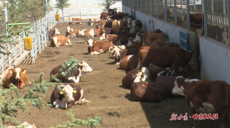 GetAttachment (9).jpg