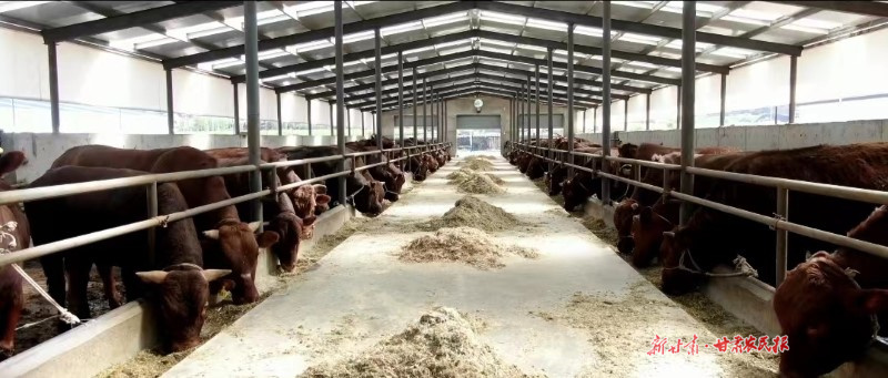 GetAttachment (10).jpg