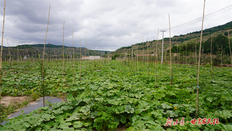 GetAttachment (1).jpg