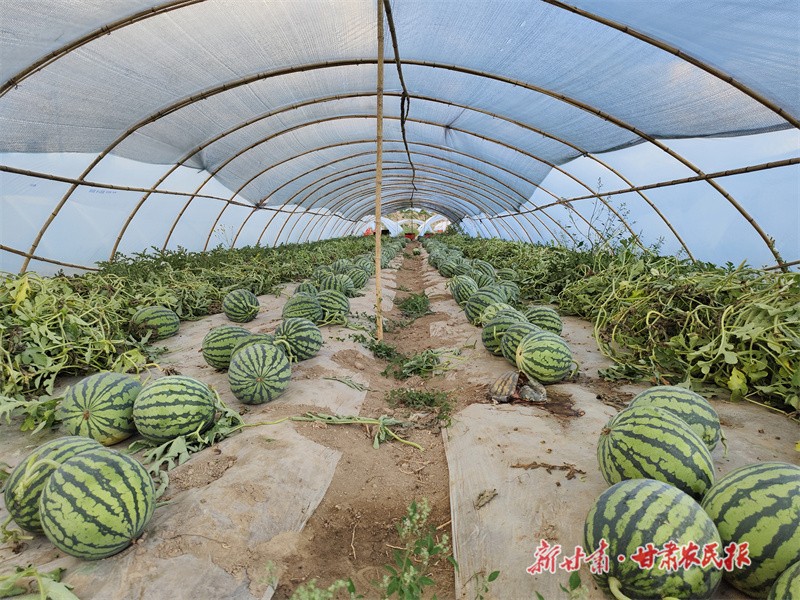 GetAttachment (3).jpg