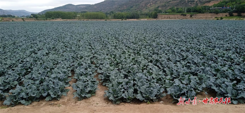 GetAttachment (16).jpg