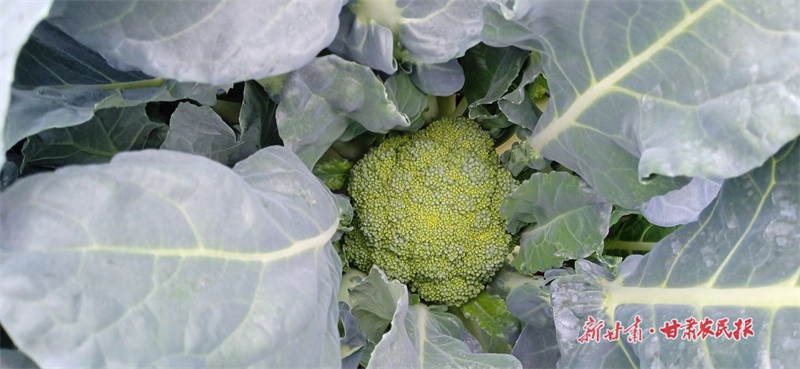 GetAttachment (17).jpg